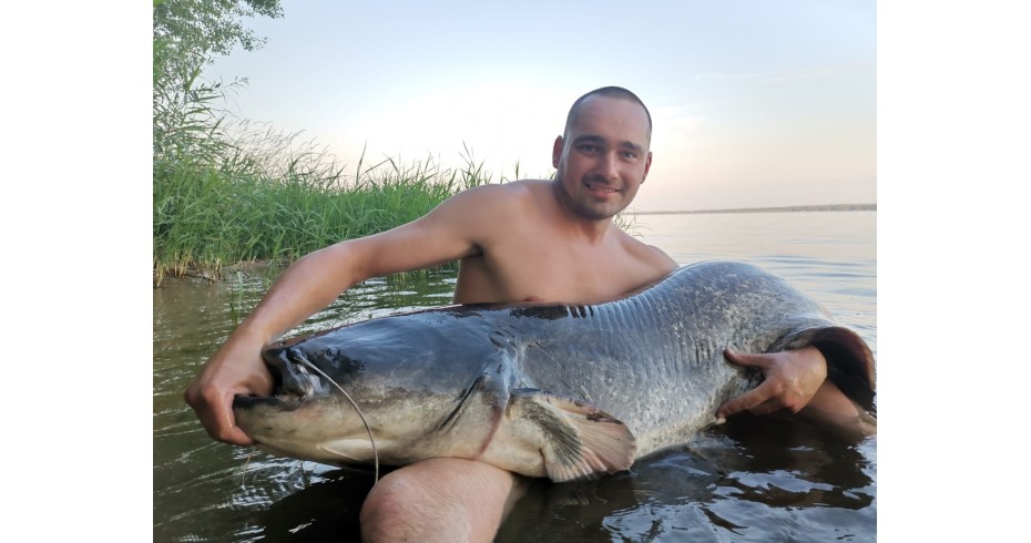 Łowienie Suma | Podstawy, Poradnik | Sklep Wędkarski - Jarofishing